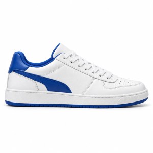 Zapatilla